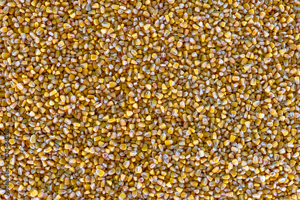 Corn seeds. Biofuel component. Biomass energy. Corn seeds. Biofuel component. Biomass energy.