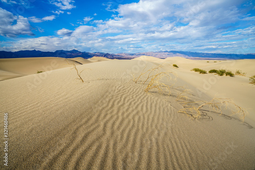 mesquite flat sand dunes in death valley, california, usa