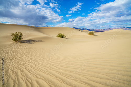 mesquite flat sand dunes in death valley  california  usa