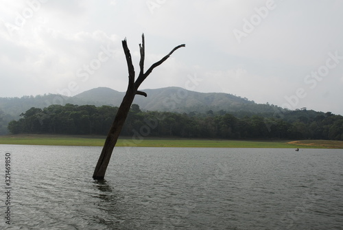 Tourist boat on the lake in the Periyar National Park, India © osman