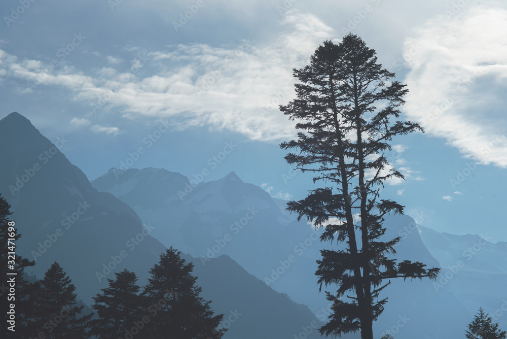 background base image with outlines of mountains, sky and a large coniferous tree with soft contrast
