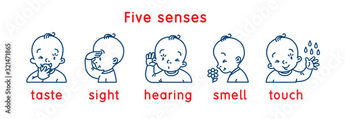 Five senses icon. Touch, taste hearing sight smell