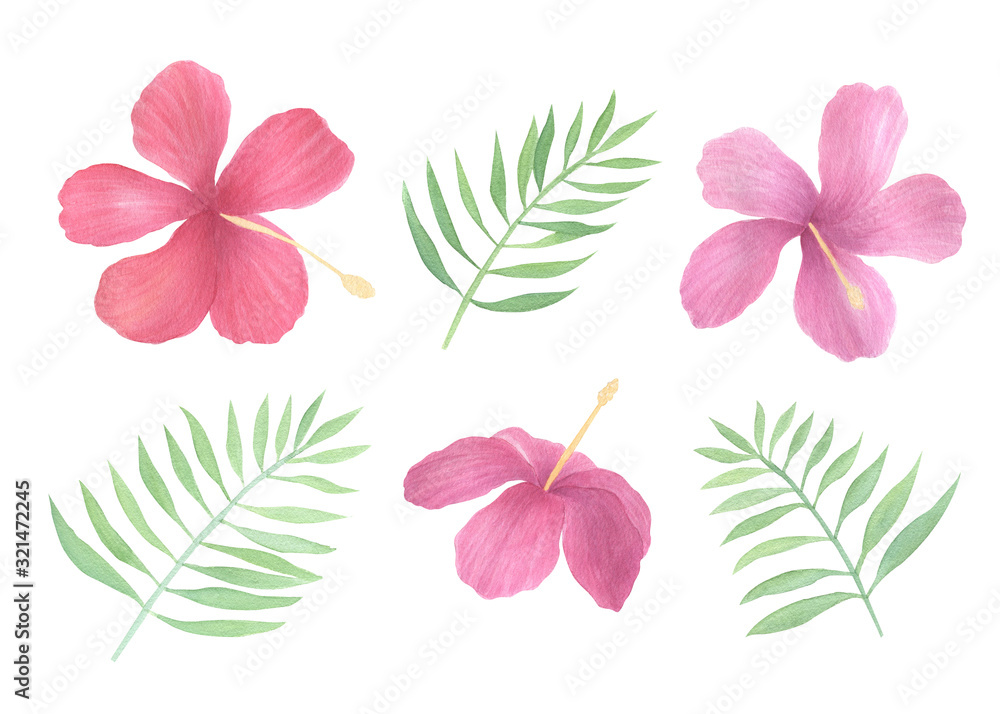 Tropical hibiscus  flowers isolated on white background. Watercolor hand drawn colorful tropical, exotic flowers collection. Hibiscus flowers, palm leaves. Summer flowers collection.