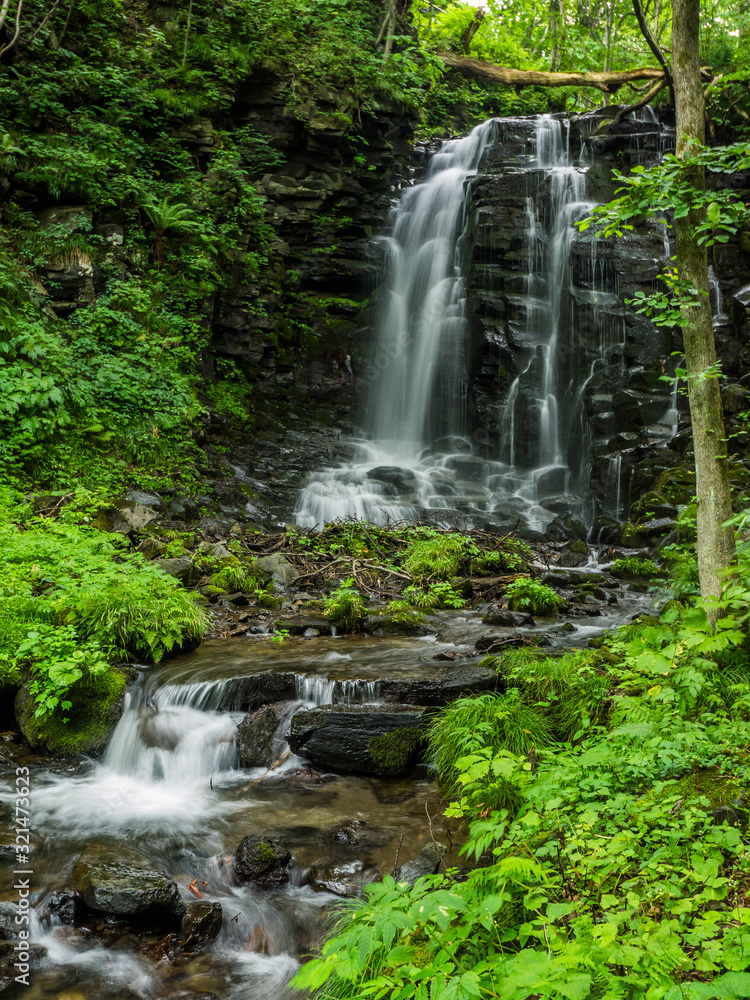 Obraz premium nishikiminotaki falls 錦見の滝