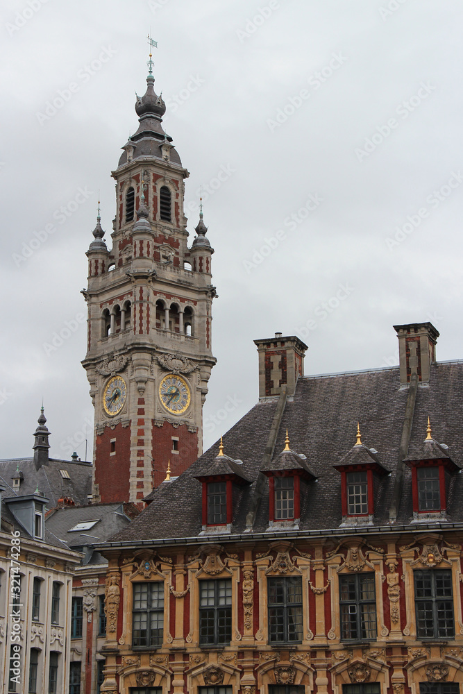 buildings and belfry in lille (france)