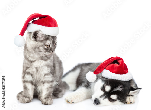 Funny kitten wearing a santa hat looks at a sleepy husky puppy. isolated on white background