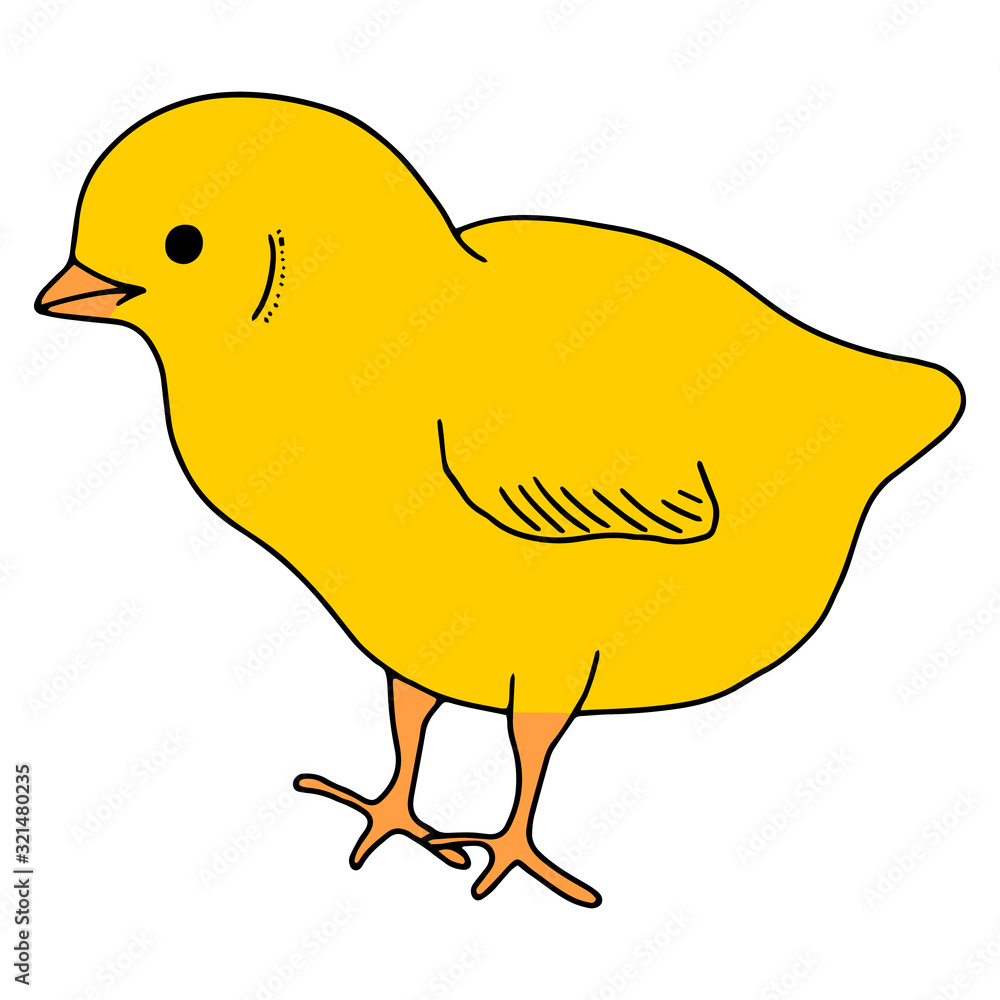Chicken yellow hand drawn line drawing. Contour drawing.Scrawl.Drawing for the Easter holiday. Little chicken.Bird house.Vector Chicken yellow hand drawn line drawing. Contour drawing.Scrawl.Drawing for the Easter holiday. Little chicken.Bird house.Vector