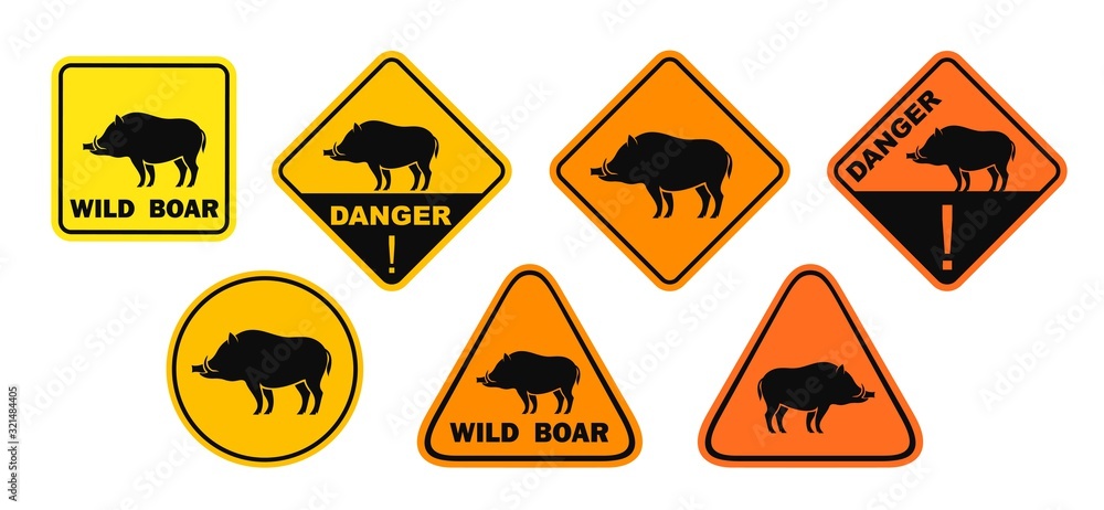 Boar road sign. Isolated boar on white background Boar road sign. Isolated boar on white background