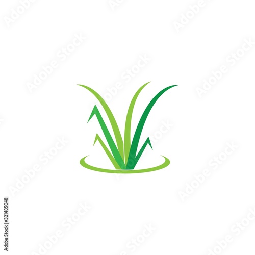 Grass logo vector