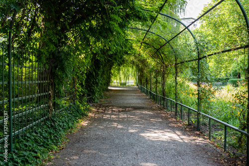 The tunnel in the garden