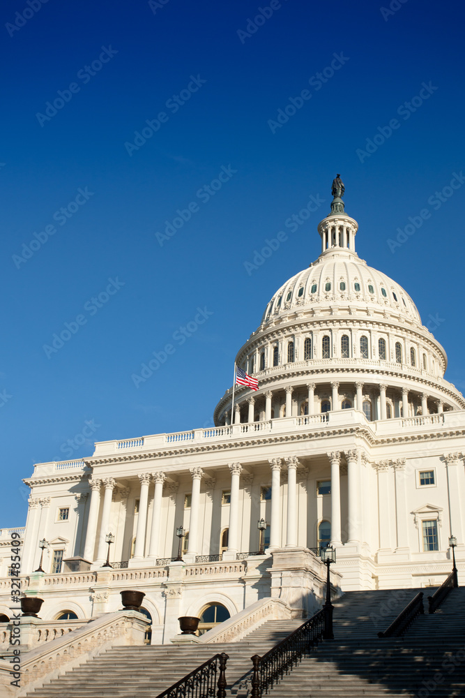 US Capitol Building in Washington DC daytime