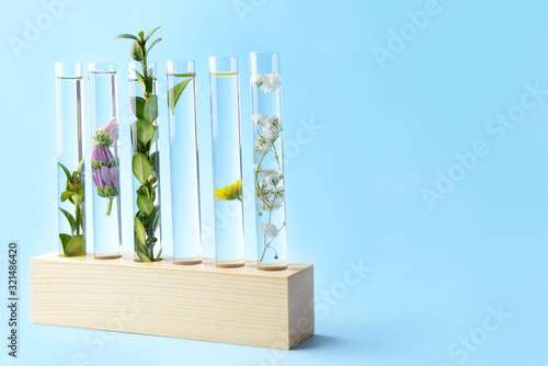 Test tubes with plants on c...