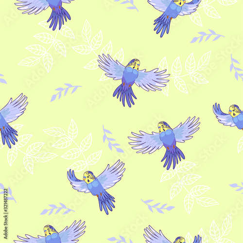 Seamless pattern with flying budgies. Vector graphics.
