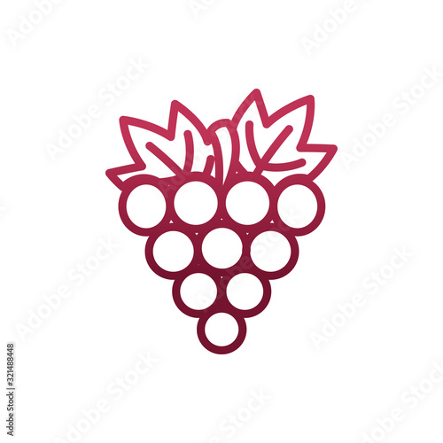 Isolated grapes fruit vector design