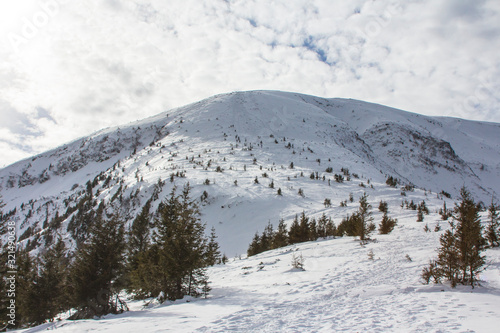 Wallpaper Mural View of the snow-covered Hoverla Mountain - the highest mountain in Ukraine Torontodigital.ca