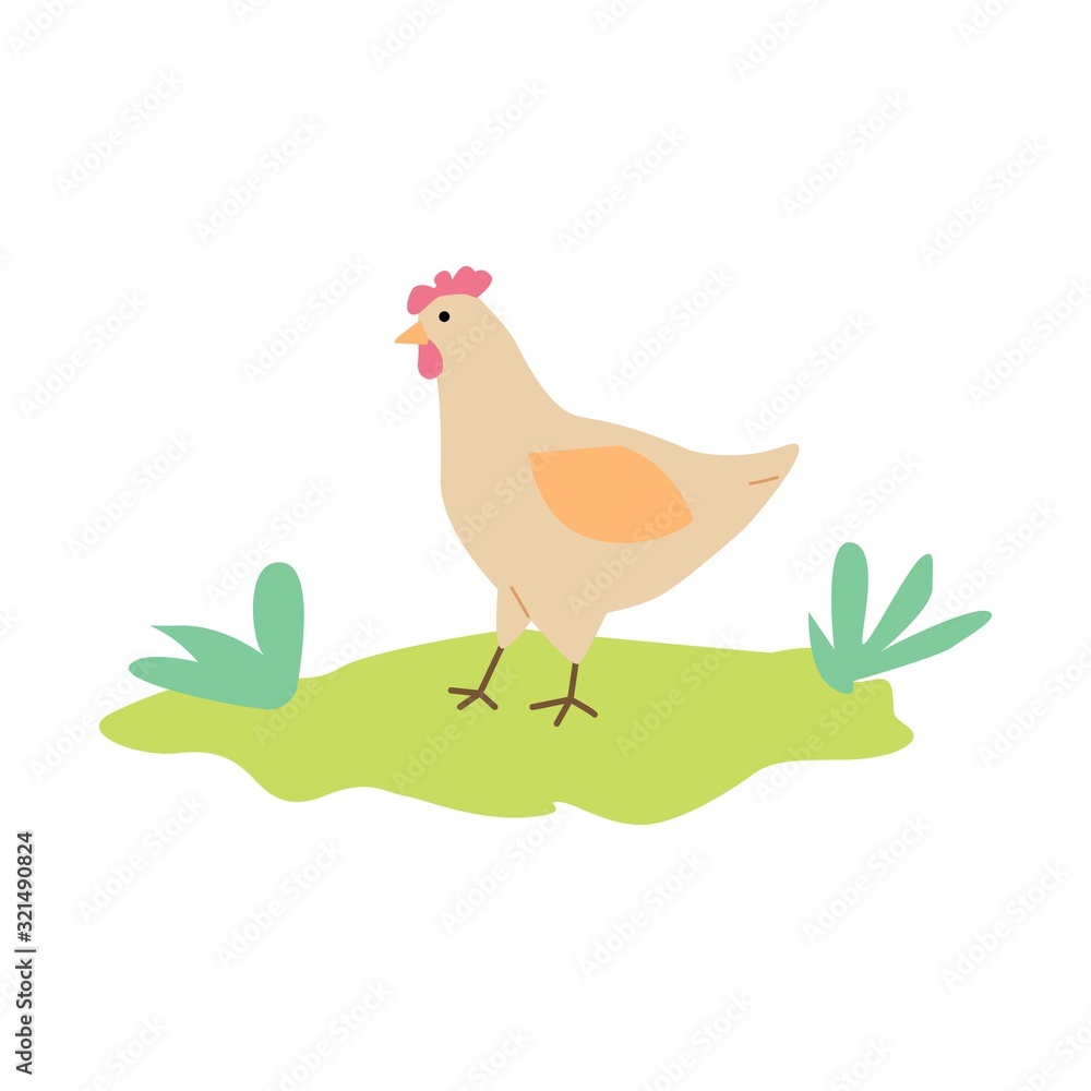 Cute cartoon chicken standing on green grass isolated on white background