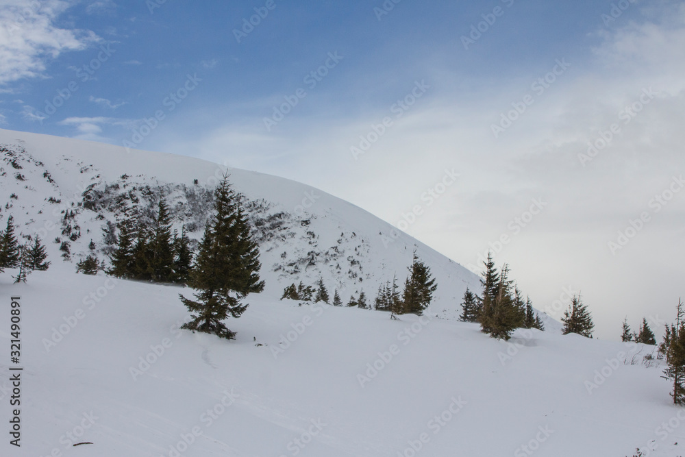 View of the snow-covered Hoverla Mountain - the highest mountain in Ukraine