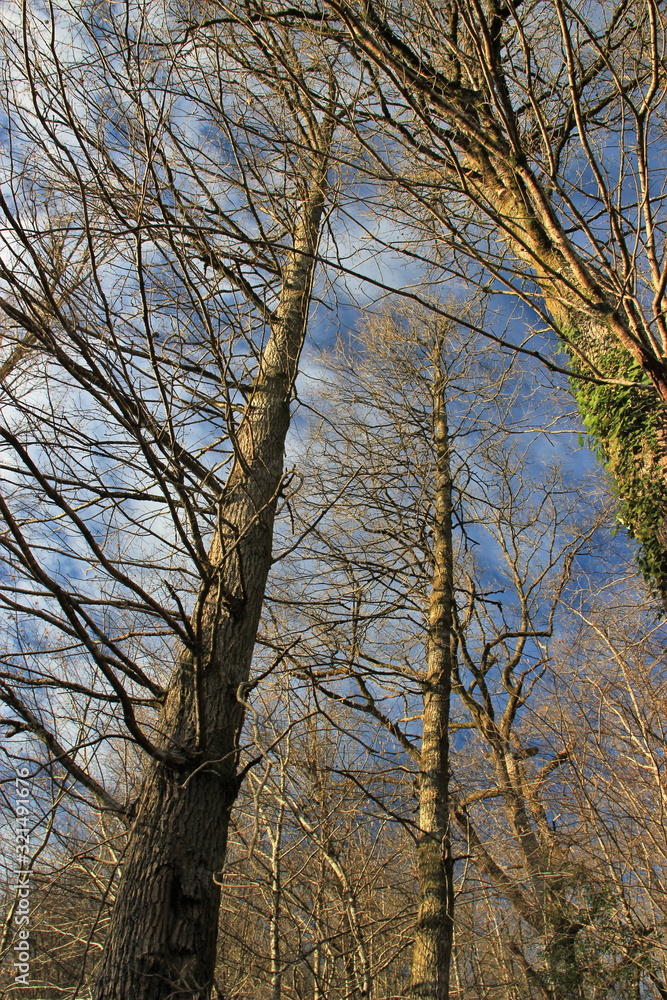 Silhouettes dans le ciel. Silhouettes dans le ciel.