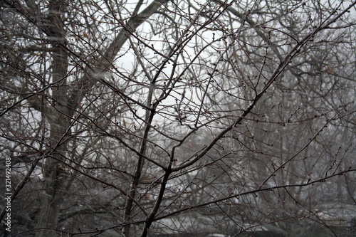  outside the window is winter