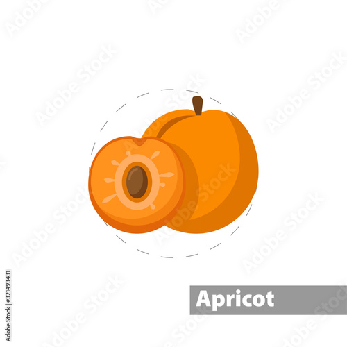 Peach vector flat illustration icon