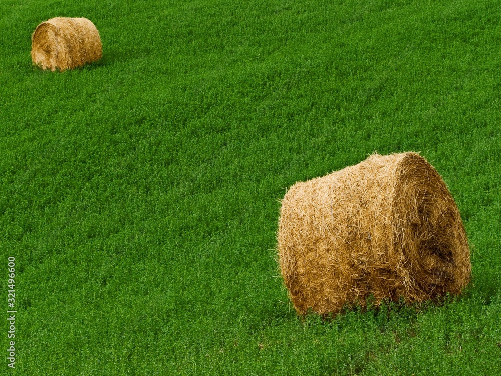 rural rural