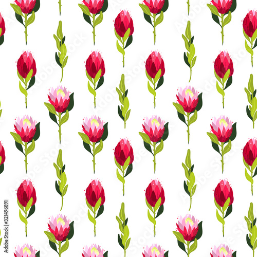 Vector colorful seamless pattern with protea flowers. © Karina Am