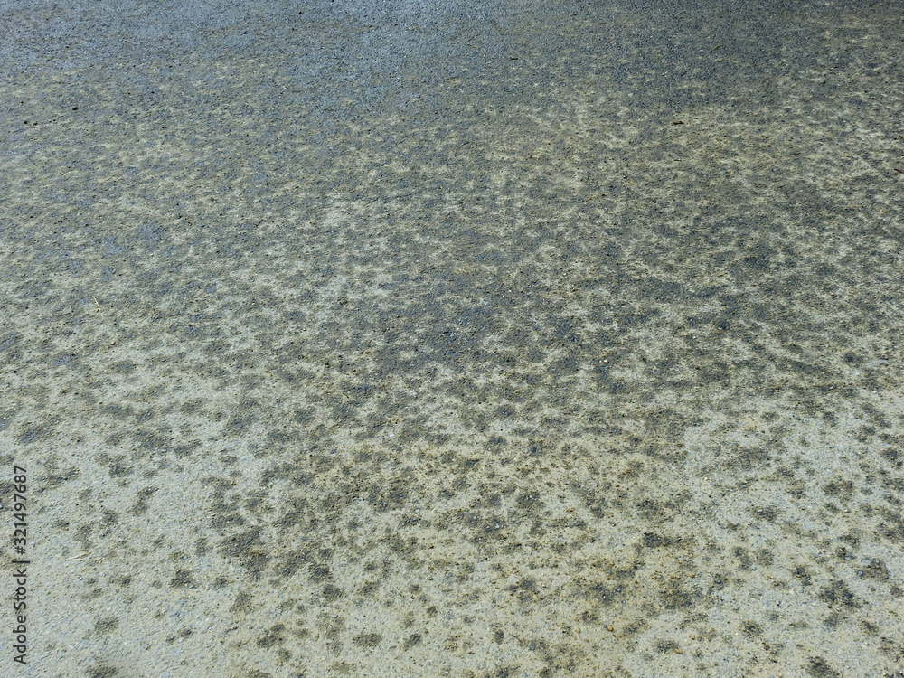 wet asphalt road texture