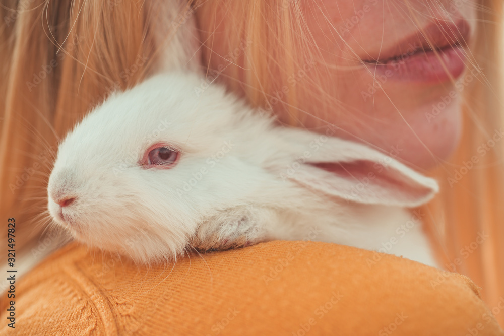 Woman holding cute fluffy rabbit, closeup. Cute bunny. Woman holding cute fluffy rabbit, closeup. Cute bunny.