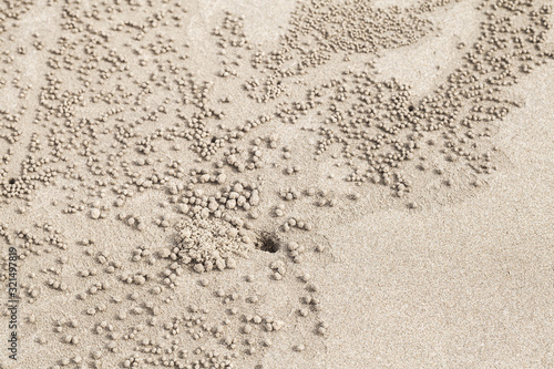 Balls of sand near a hole made by sand bubbler crab photo