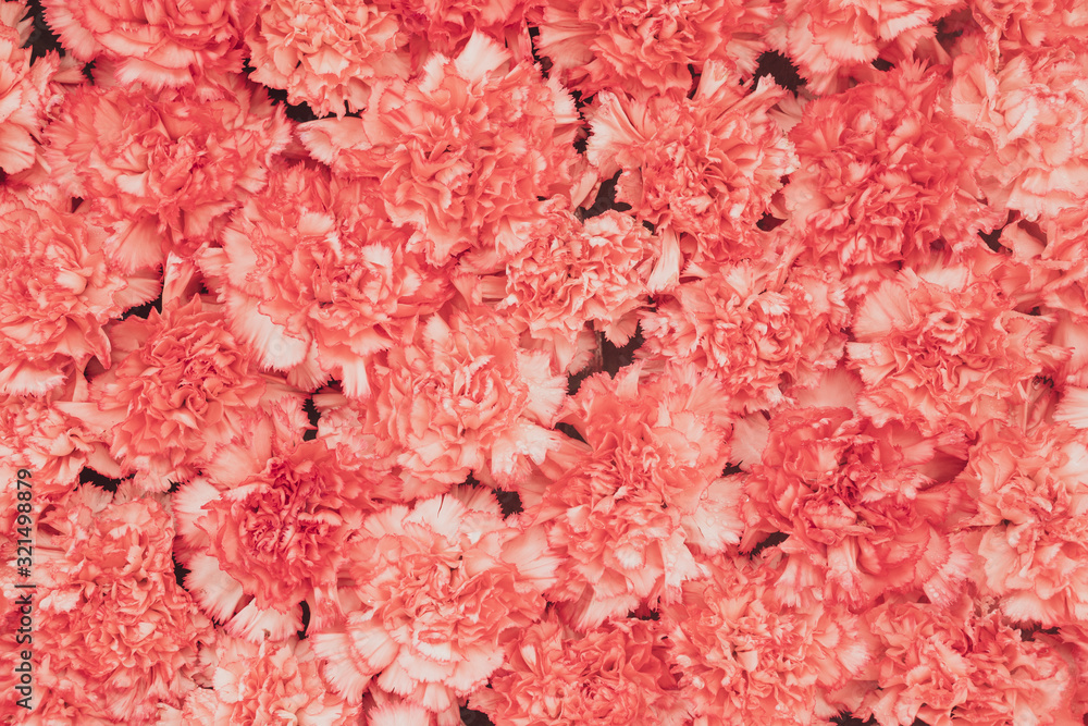 beautiful bright coloured wild flowers growing for background and texture beautiful bright coloured wild flowers growing for background and texture