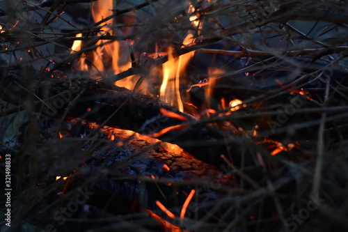 burned firewood in fireplace and fire close up