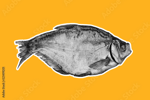 Wall Mural Dried fish on an orange background with a white stroke