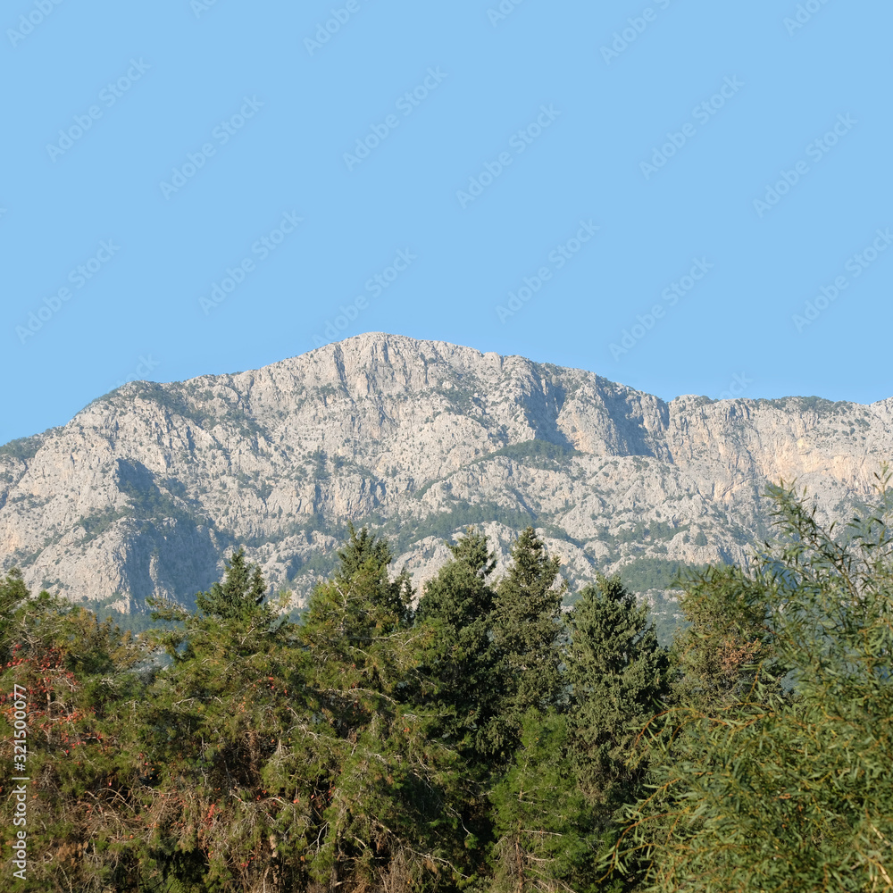 Landscape with high mountains with rock pines on the slopes and coniferous forests on foothill under blue cloudless sky on sunny day front view Instagram format Landscape with high mountains with rock pines on the slopes and coniferous forests on foothill under blue cloudless sky on sunny day front view Instagram format