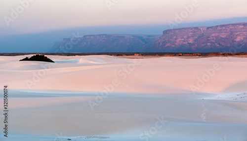 The Dunes Of Socotra Island