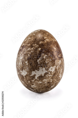 raw quail egg on white © Volodymyr Shevchuk