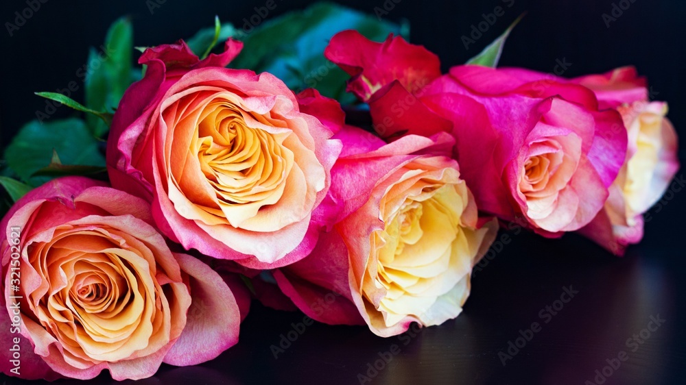 Pink aroma roses on black Pink aroma roses on black