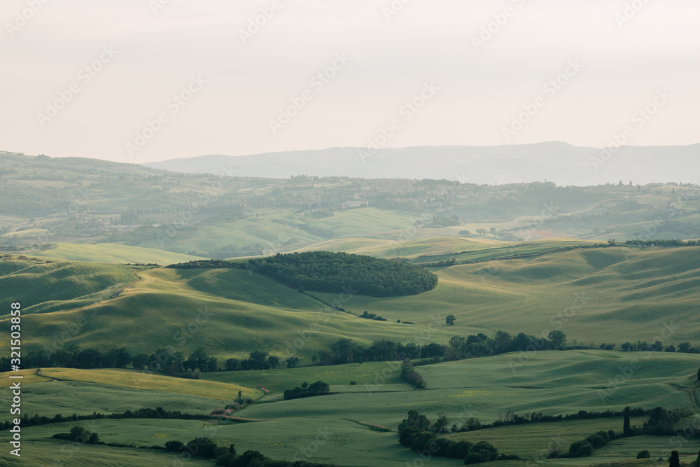 Obraz premium Beautiful countryside landscape in Tuscany, Italy