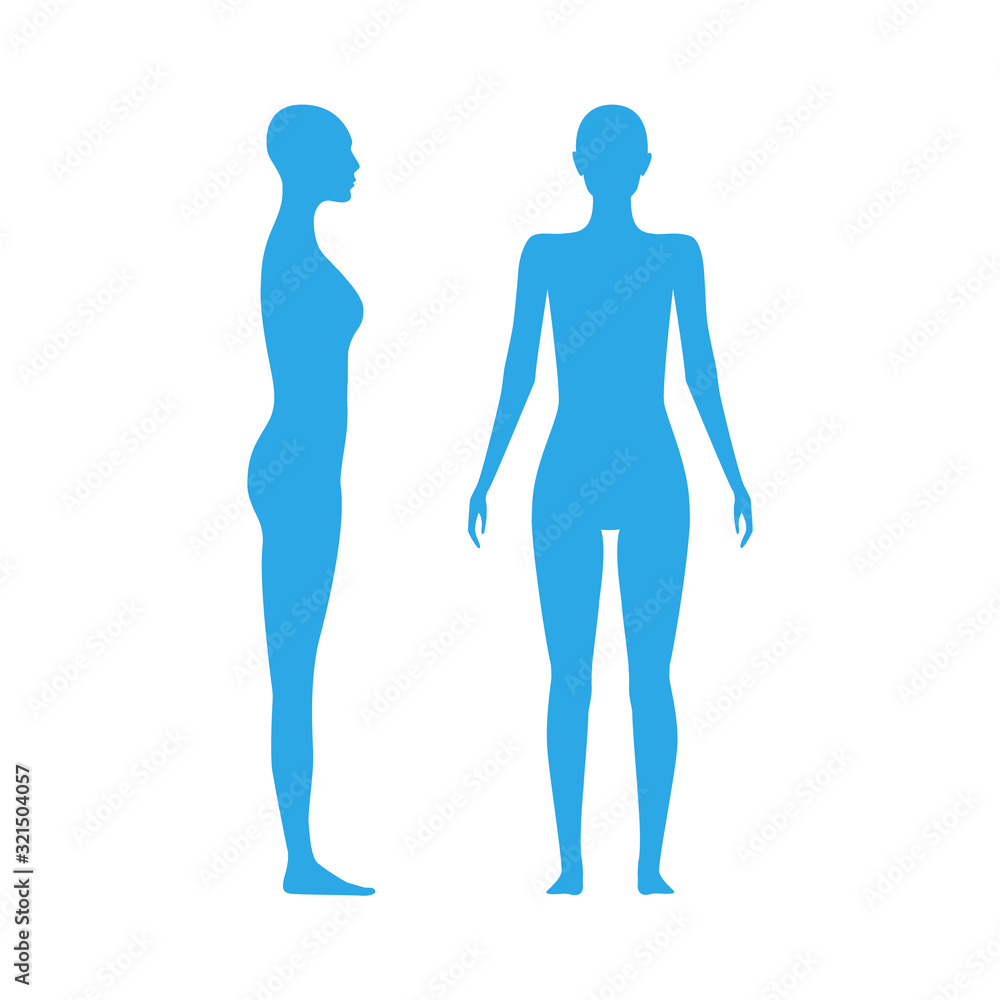 Front and side view human body silhouette of an adult female. Front and side view human body silhouette of an adult female.