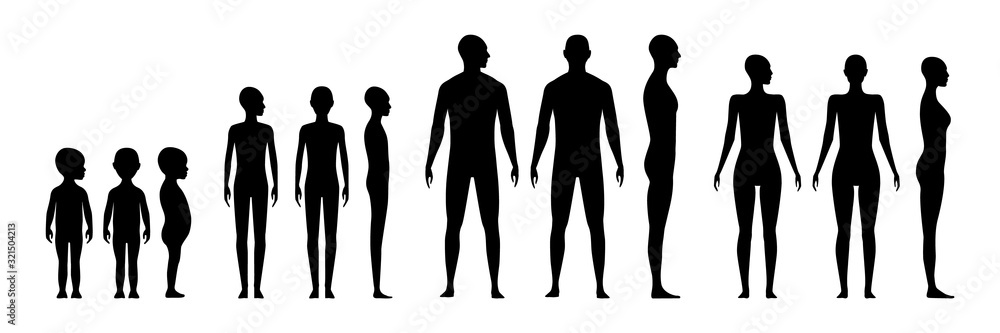 Front and side view human body silhouette of an adult male, a female, gender neutral, a teenager and a toddler. Front and side view human body silhouette of an adult male, a female, gender neutral, a teenager and a toddler.