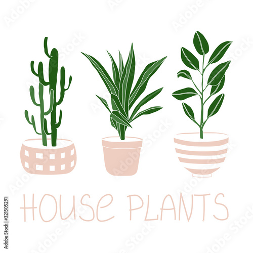 Green floral house plants illustration and lettring. Outline home flowers in pots in line art anf flat  style isolated on white background for greetig card  invintation print t-shirt