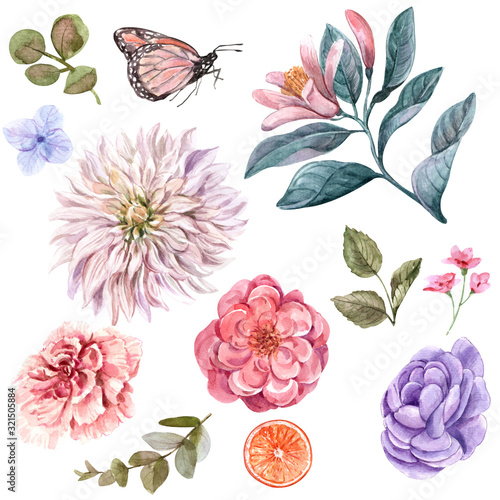 Flower illustration with watercolor techniques.
