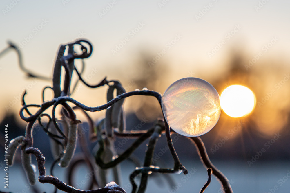 Gefrorene Seifenblasen, frozen bubbles Gefrorene Seifenblasen, frozen bubbles