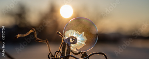 Gefrorene Seifenblasen, frozen bubbles photo