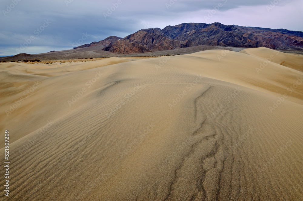 Landscape of the Mesquite Flat Sand Dunes, Death Valley National Park, California, USA