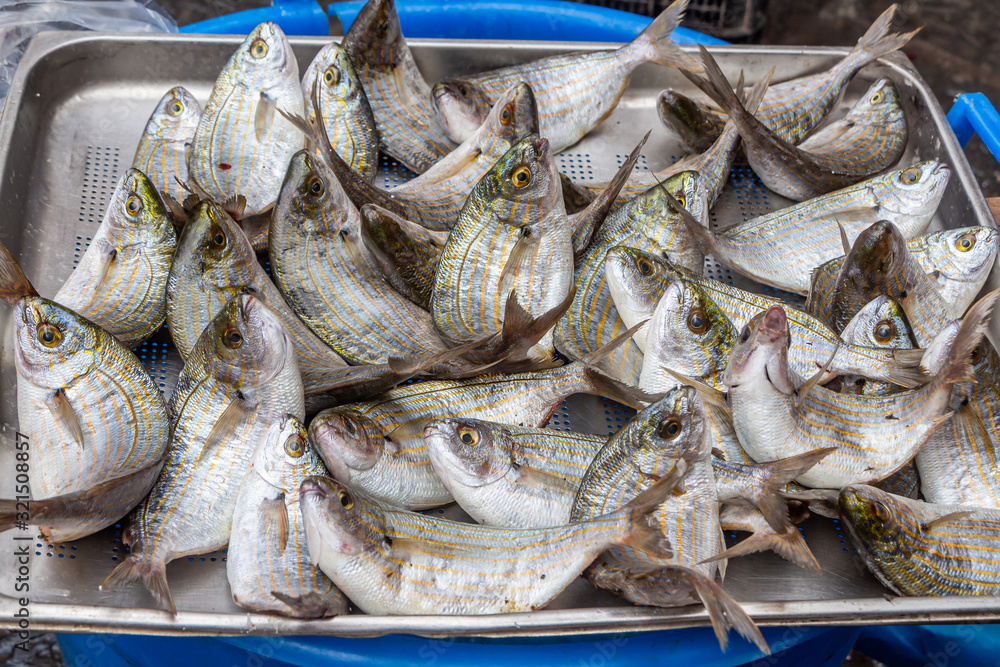 Group of bright fresh sea fish is in a gray metallic basket on the market for sale Group of bright fresh sea fish is in a gray metallic basket on the market for sale