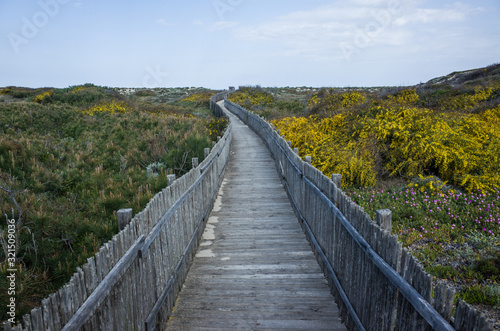 sentiero verso il mare