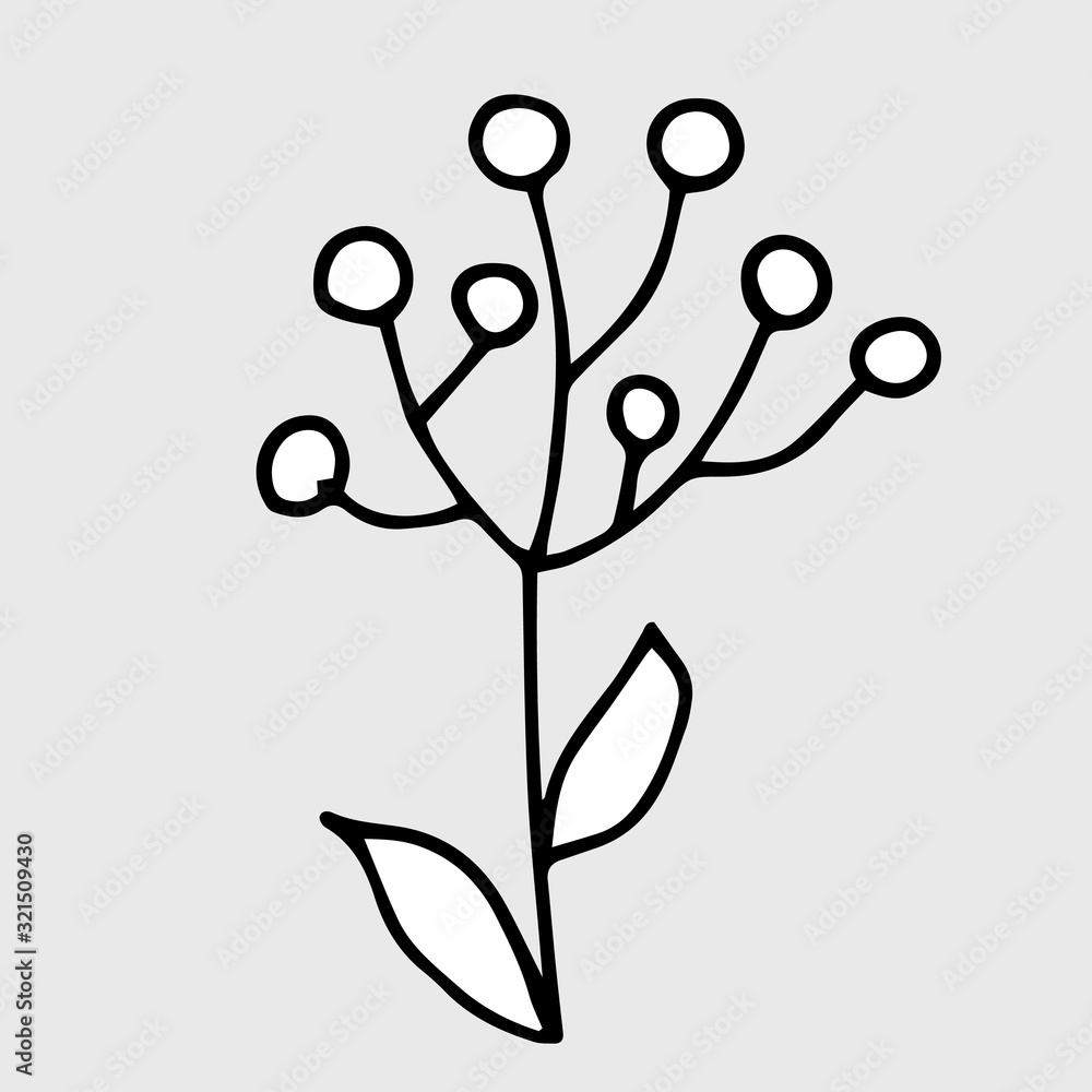 Vector drawing meadow herb. Isolated floral element. Hand drawn botanical doodle illustration Vector drawing meadow herb. Isolated floral element. Hand drawn botanical doodle illustration