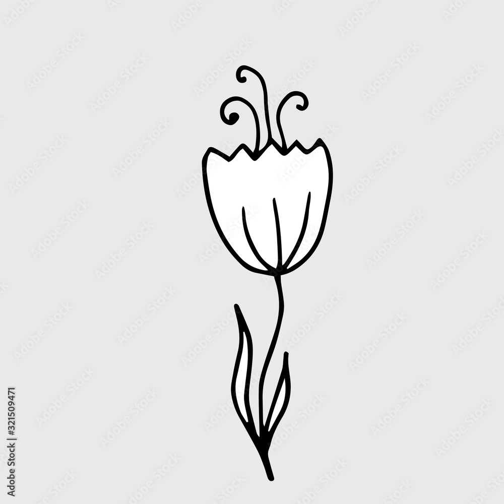 Vector drawing bell flower. Isolated floral element. Hand drawn botanical doodle illustration Vector drawing bell flower. Isolated floral element. Hand drawn botanical doodle illustration