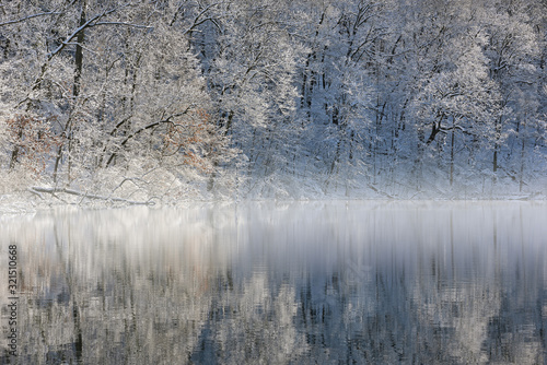 Snow flocked trees on the foggy shoreline of Hall Lake with mirrored reflections in calm water, Yankee Springs State Park, Michigan, USA