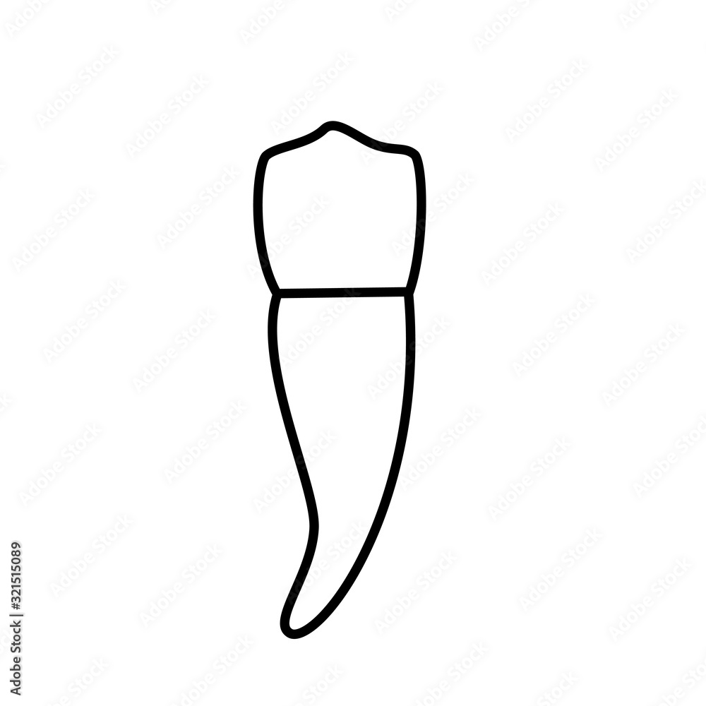 Vector isolated illustration of tooth Vector isolated illustration of tooth